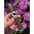 thumbnail from instagram_graph by private_instagram_user displaying Crowned Heads Juarez Jack Brown.