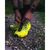 thumbnail from instagram_graph by kern_martin displaying Footwear Finder.