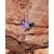 thumbnail from instagram_graph by arcteryx displaying AR-385a Harness Women's.
