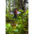 thumbnail from content by petedevries displaying Bora 75 Backpack Men's.