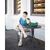 Boston Big Buckle Platform Fur