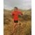 thumbnail from instagram_graph by lucyrochruns displaying Beta Jacket Women's.