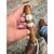 thumbnail from instagram_graph by private_instagram_user displaying Rocky Patel Vintage 1999 Churchill.