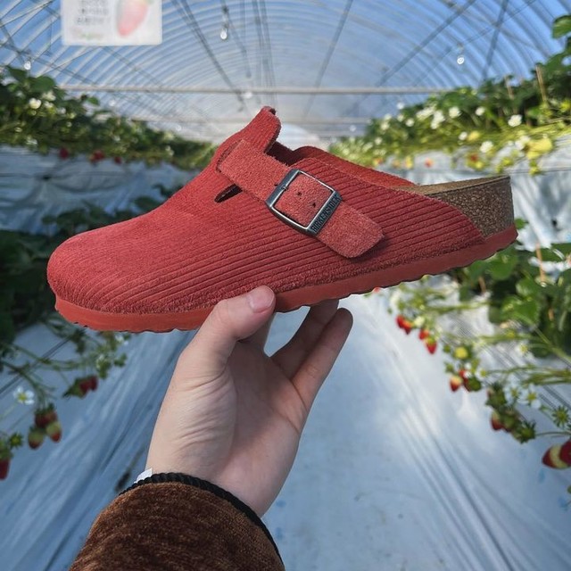 Boston Suede Leather Embossed in Corduroy Sienna Red